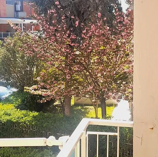 La Dimora Dei Cedri Argentati *